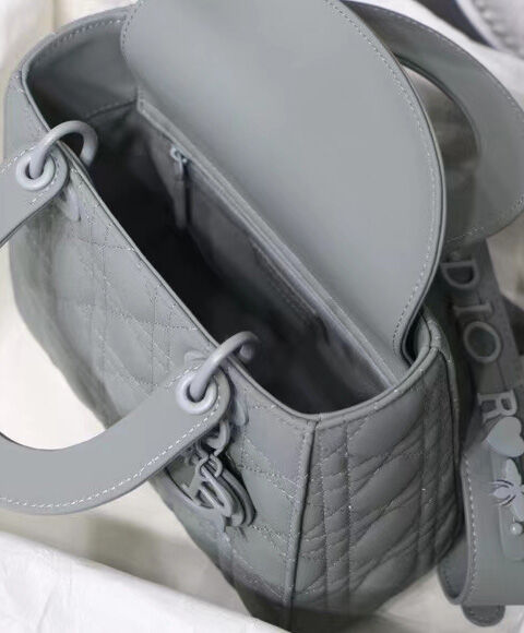 Christian Dior Lady Dior My Abcdior Bag Grey